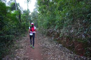 BIB: 
                            <button type="button" onclick="openModal(19341944)" class="btn btn-primary btn-sm float-right btn-popup" data-toggle="modal" data-target=".modal-high-quality">
                        <i class="fas fa-shopping-cart"></i> Add to Cart
                    </button>
                                            <button type="button" onclick="isThisMe(19341944, true)" class="btn btn-success btn-sm float-right btn-popup btn-isme hidden" data-toggle="tooltip" data-placement="bottom" title="นี่คือรูปของคุณใช่ไหม คลิกที่นี่เพื่อเอาเข้าอัลบั้ม">
                        <i class="fas fa-plus"></i> Add to album
                    </button>
                    <button type="button" onclick="isThisMe(19341944, false)" class="btn btn-warning btn-sm float-right btn-popup btn-isnotme hidden">
                        <i class="fas fa-ban"></i> Remove from album
                    </button>